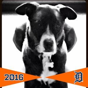 Meet your Posher, Carol